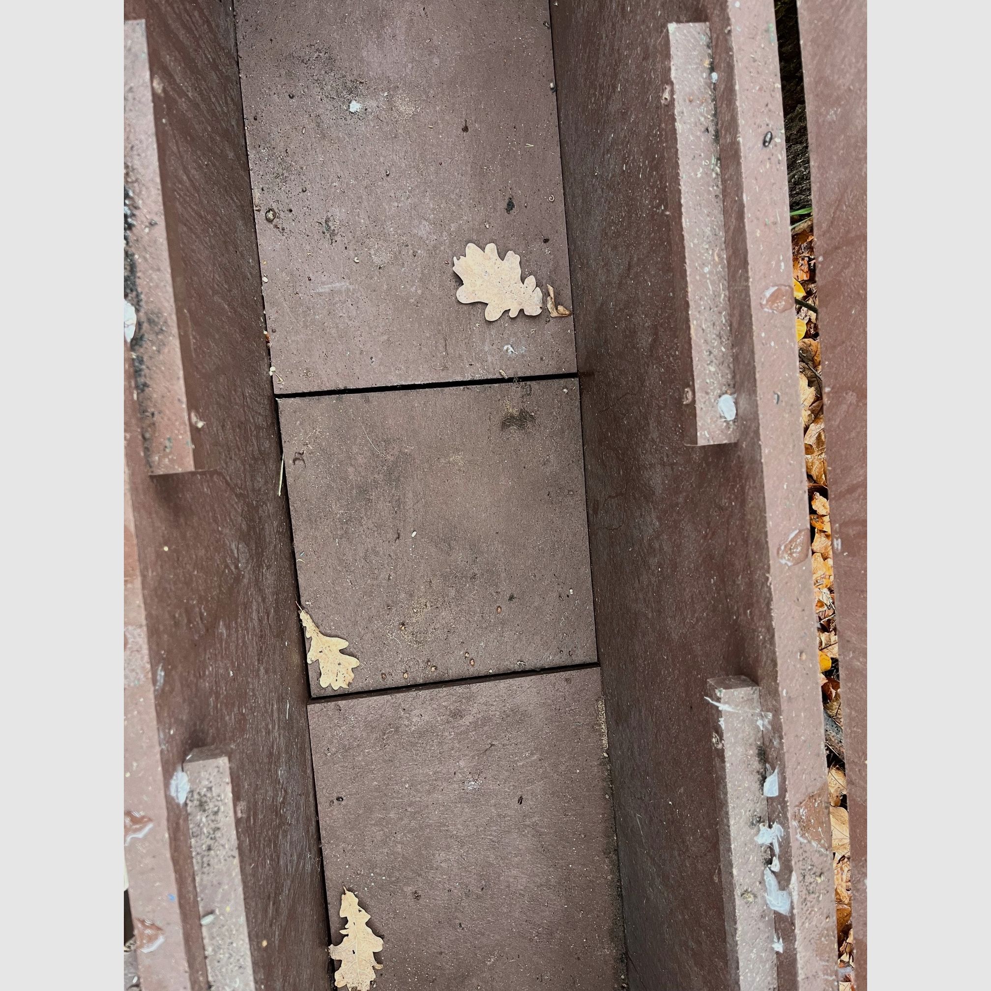 Kastenfalle (Trapper-Box)