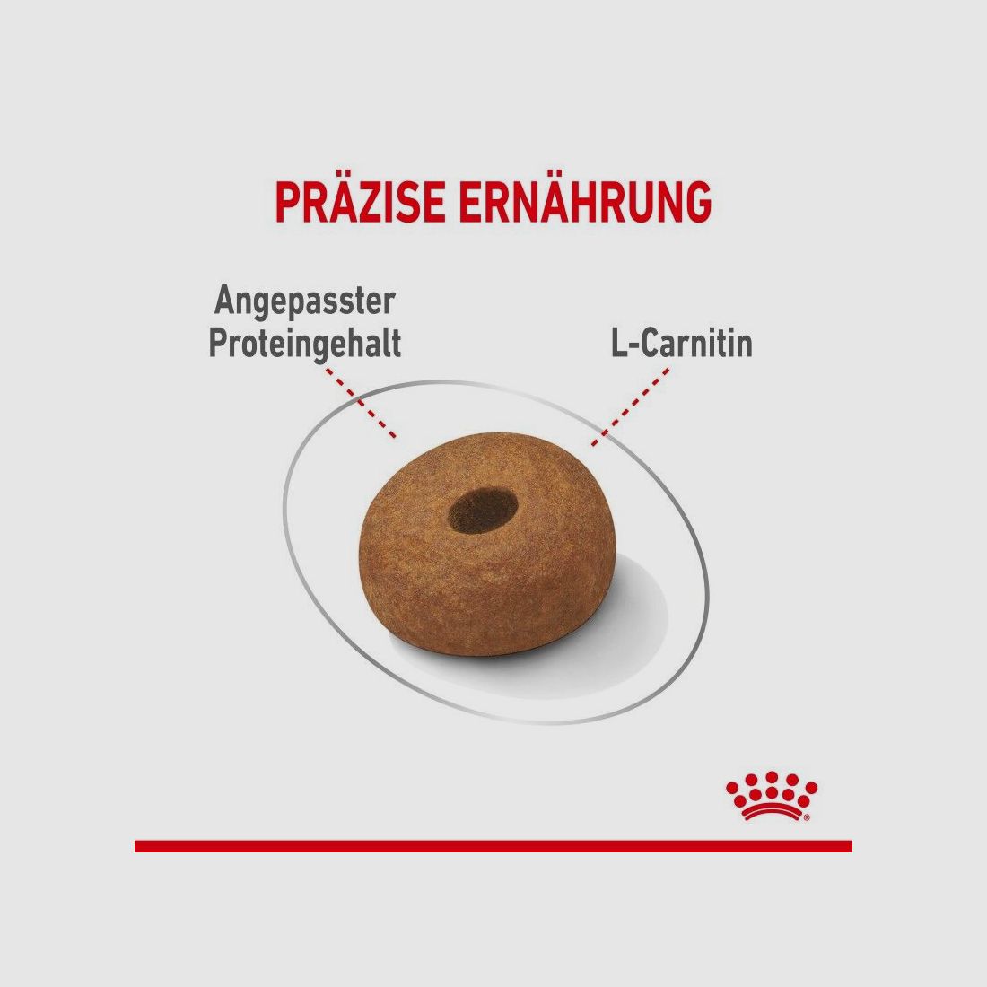 ROYAL CANIN Trockenfutter Light Weight Care Maxi für zu Übergewicht neigenden Hunden