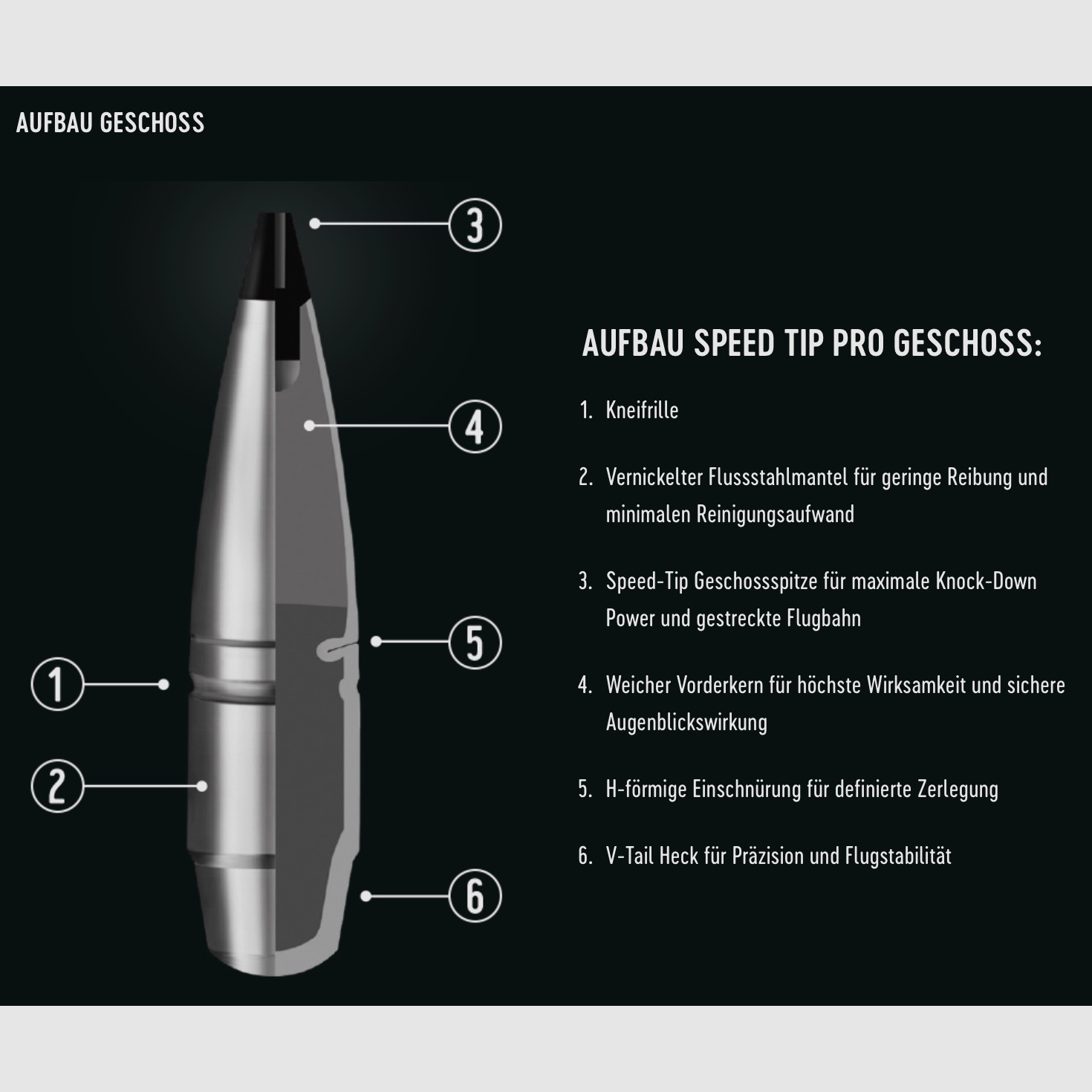 RWS 2401226 .308 Win. Speed Tip Professional 10,7g 165grs.