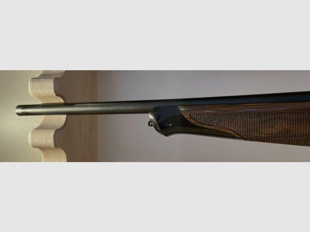 BLASER R8 SUCCESS (HOLZKLASSE 4+)