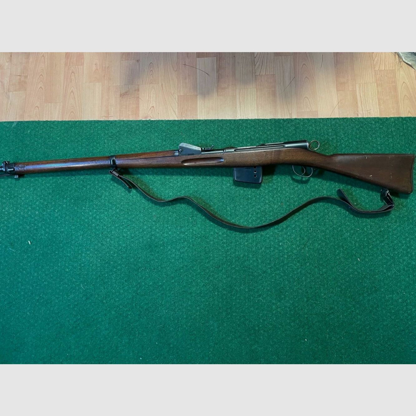 Schmidt-Rubin	 1889, Bild 1 von 5