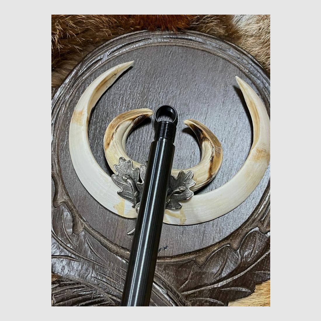 Tikka T3 light