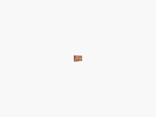 AMUNICJA KULOWA HORNADY 3006 RN 220 GRS