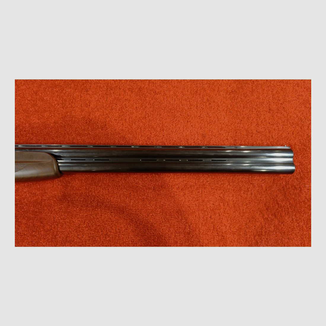 Frankonia Jagd 12/76