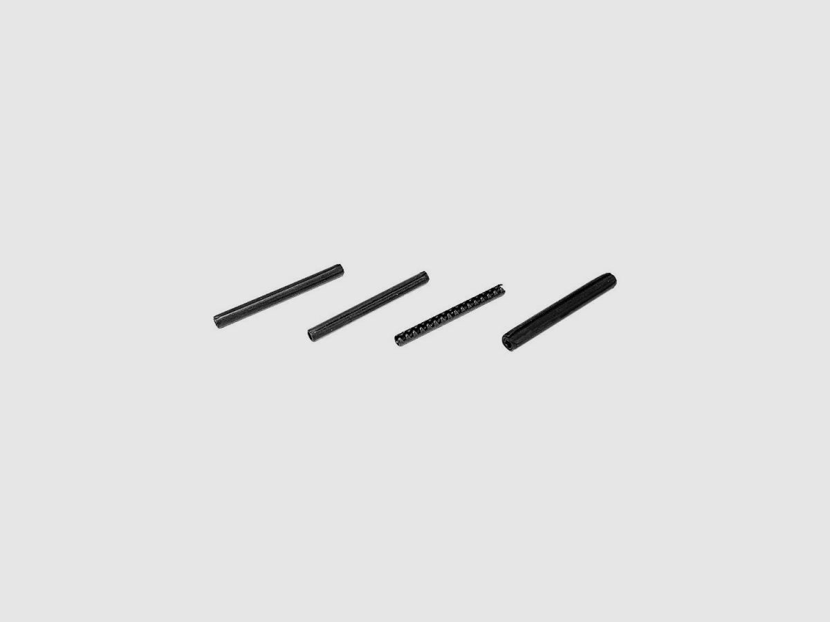 Eemann Tech Pins Set for CZ P-10, image 1 sur 3