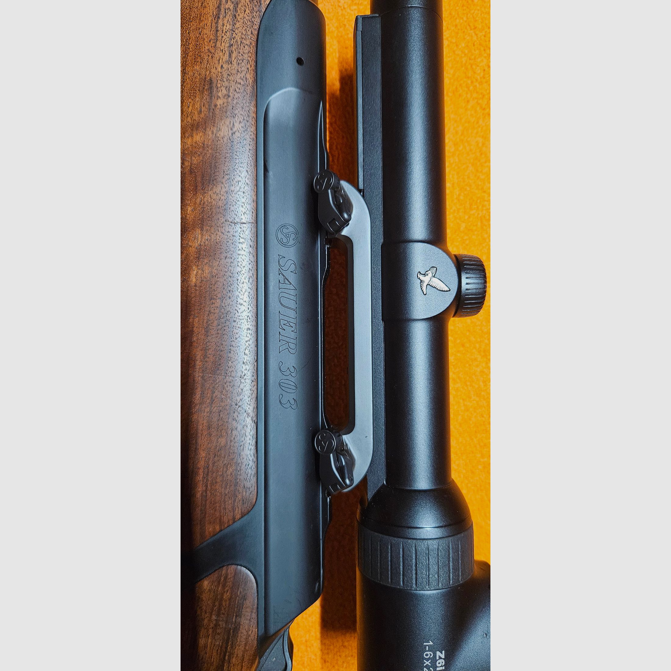 Sauer 303 Classic .30-06 mit Swarovski Z6i 1-6x24 SR & Sauer-Montage