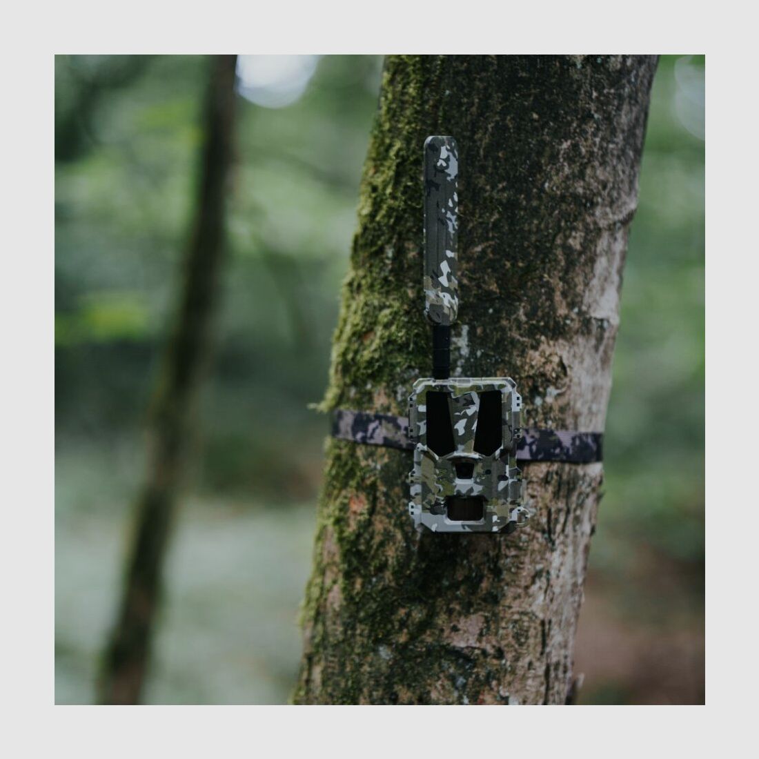 Modernhunter Hunter 4G Mini – Kompakte Wildkamera mit KI-Erkennung und niedrigsten Betriebskosten, Bild 16 von 22