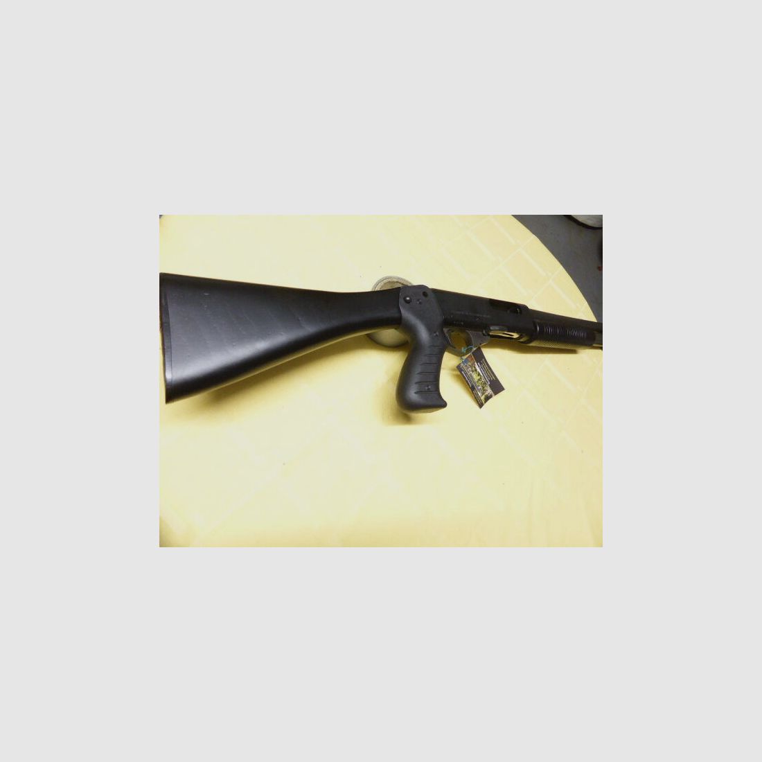 Franchi	 SP1