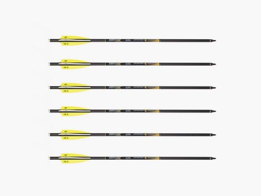 Set de 6 X-Bow flèches de 18 pouces