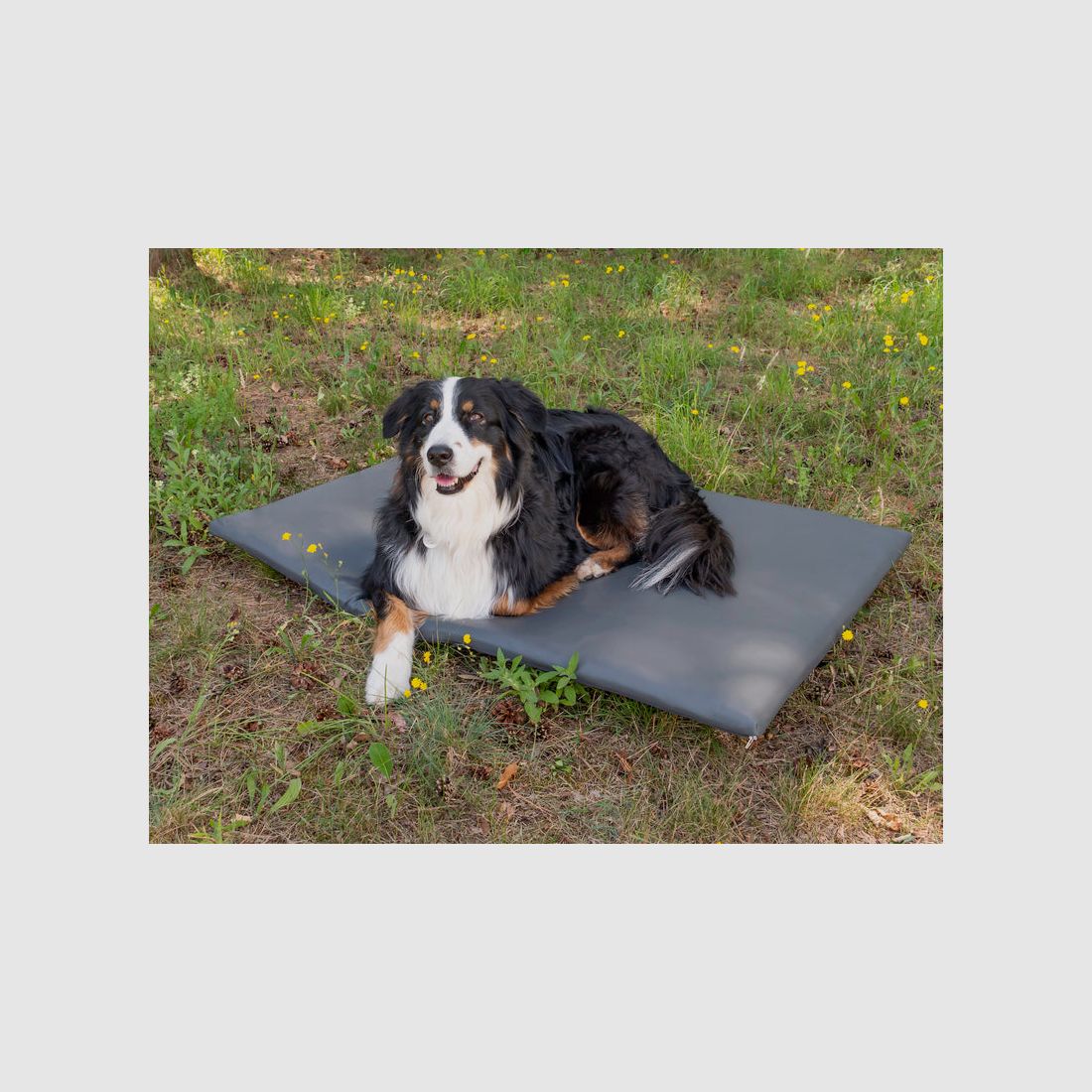 Reimo Dog Mattress - Tailgate Cover for VW T5/T6 California, image 2 of 6