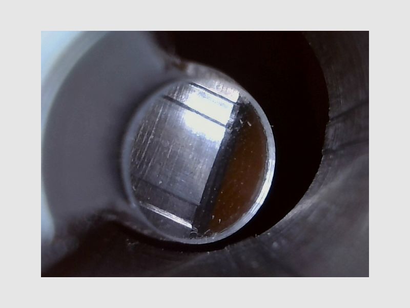 Ruger American Magnum Rifle .300 WinMag, die unzickige mit etwas Bumms, Drückjagd, Longrange