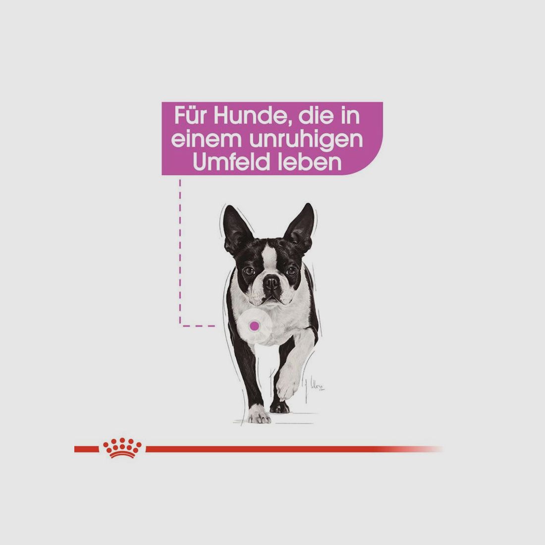 ROYAL CANIN Nassfutter Relax Care für Hunde in unruhigem Umfeld 12x85 g