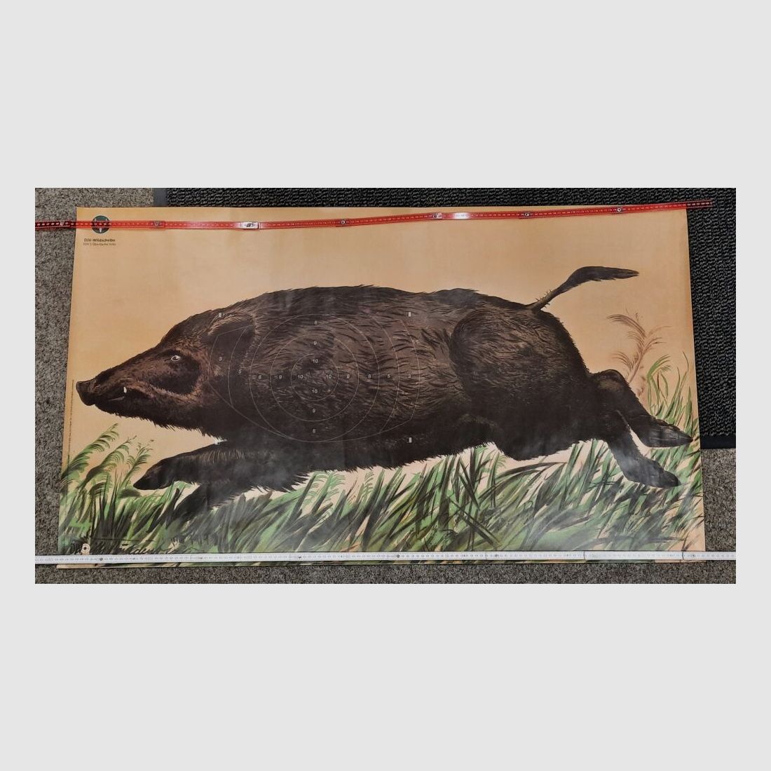 Schießscheibe Jagdscheibe Wildscheibe