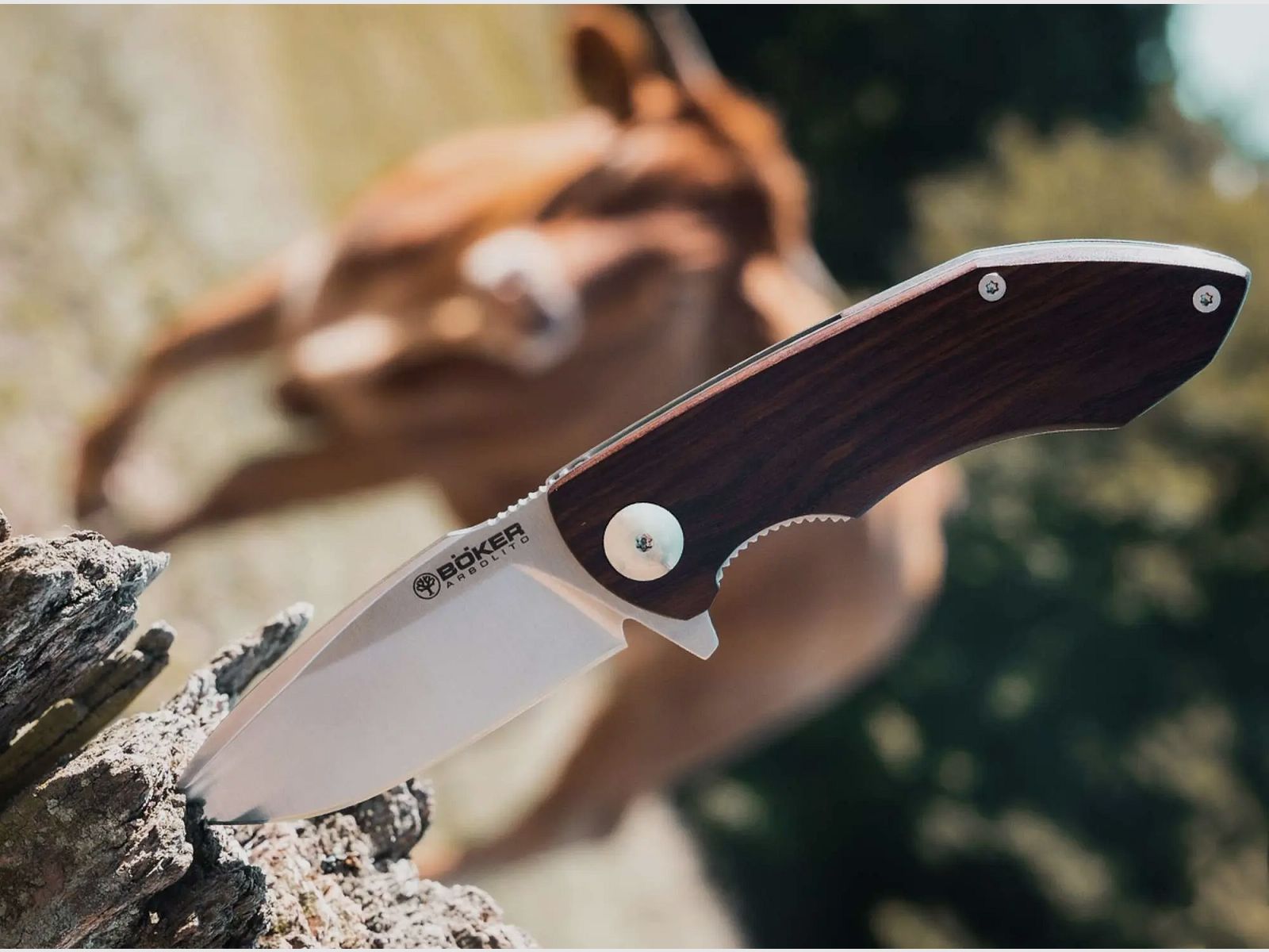 Böker Arbolito Folder Nahuel Guayacan
