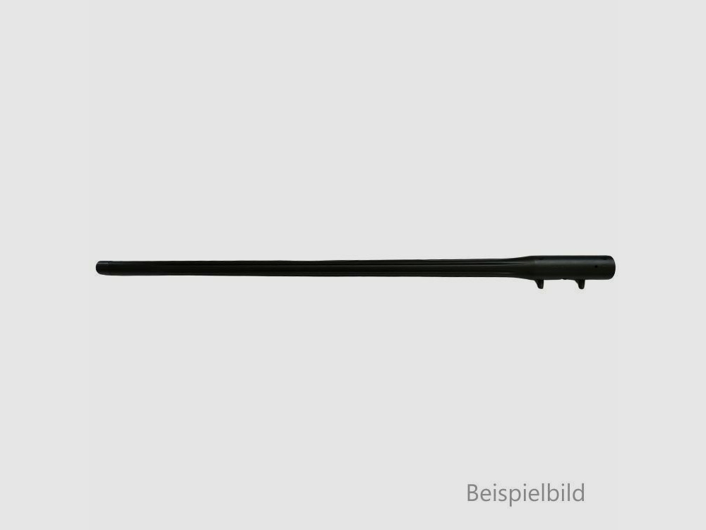 Blaser WL R8 SW Kann. M15x1
