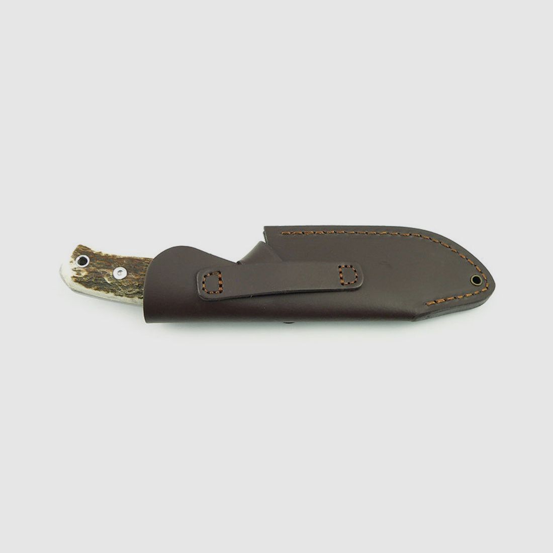 PUMA IP cervato, stag