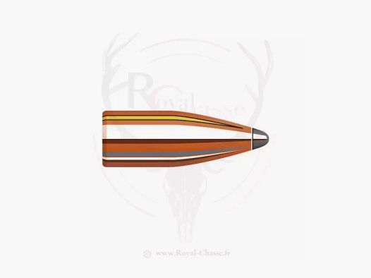 100 ogives Cal.22 D.224 50Grs SP SX HORNADY