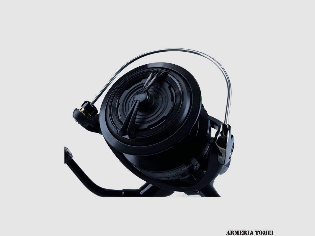 MULINELLO – DAIWA – BG BLACK LT 8000-H-ARK, afbeelding 2 van 6