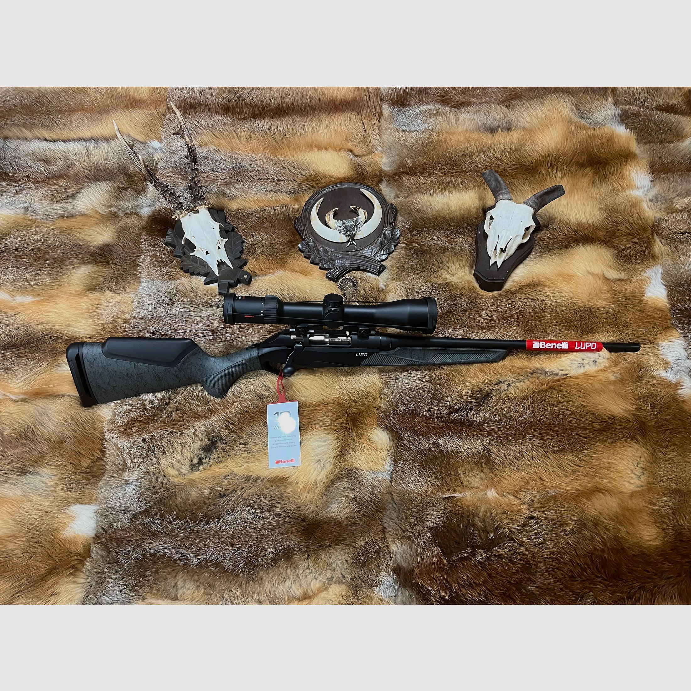 Benelli Lupo 