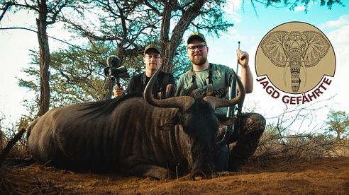 Jagd im südwestlichen Teil Afrikas | Jagdreise in Namibia auf Warzenschwein und Streifengnu