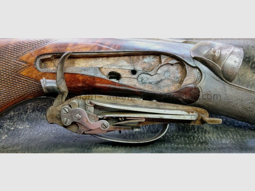 Sodia / Ferlach fusil à canon lisse vers 1900