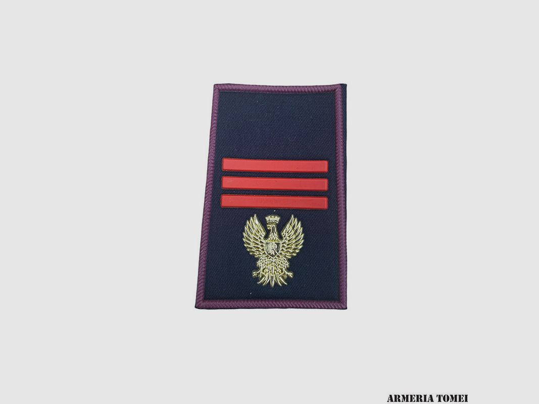 RANK – STATE POLICE – PAIR TUBULAR ASSISTANT CHIEF