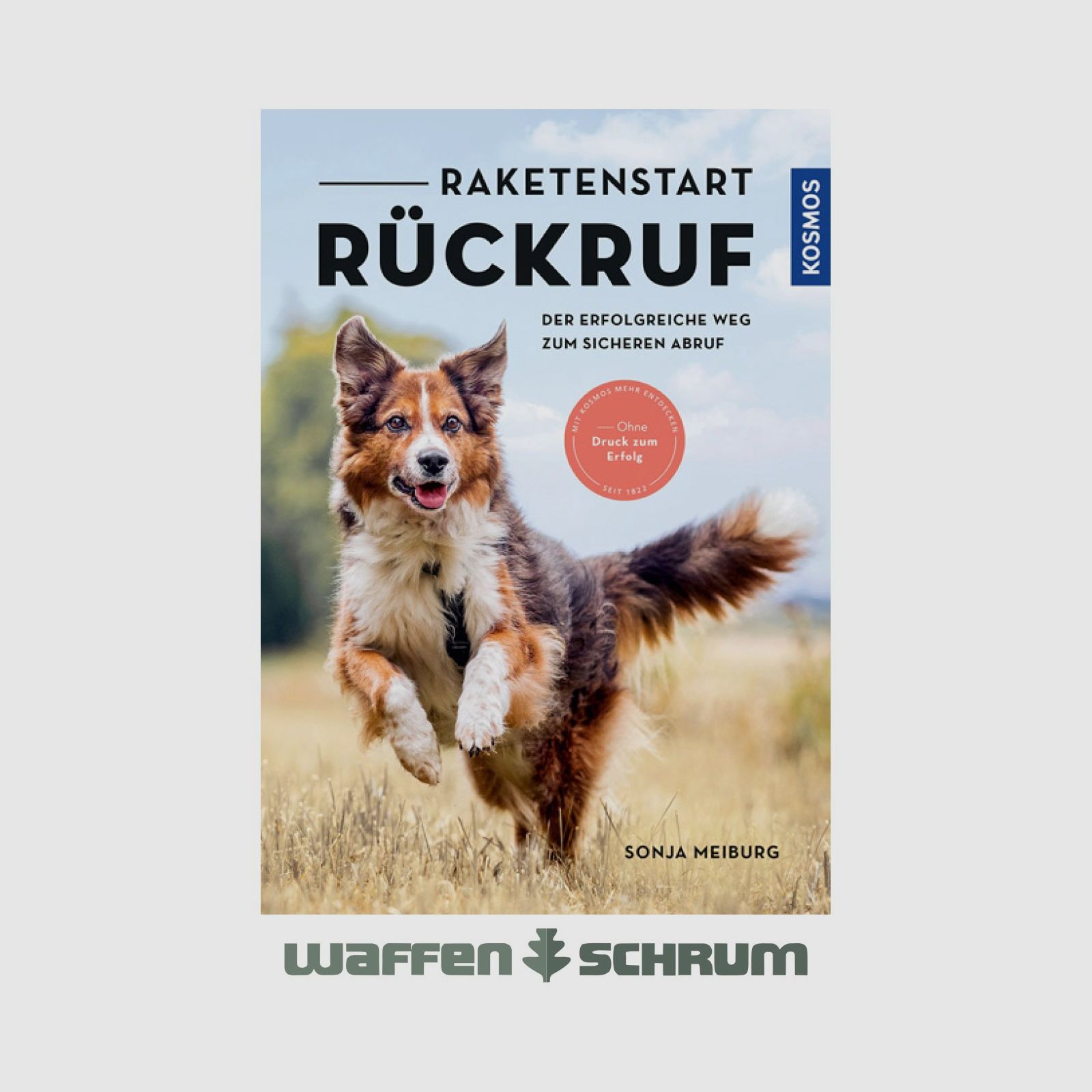 Kosmos Raketenstart - Rückruf Sonja Meiburg