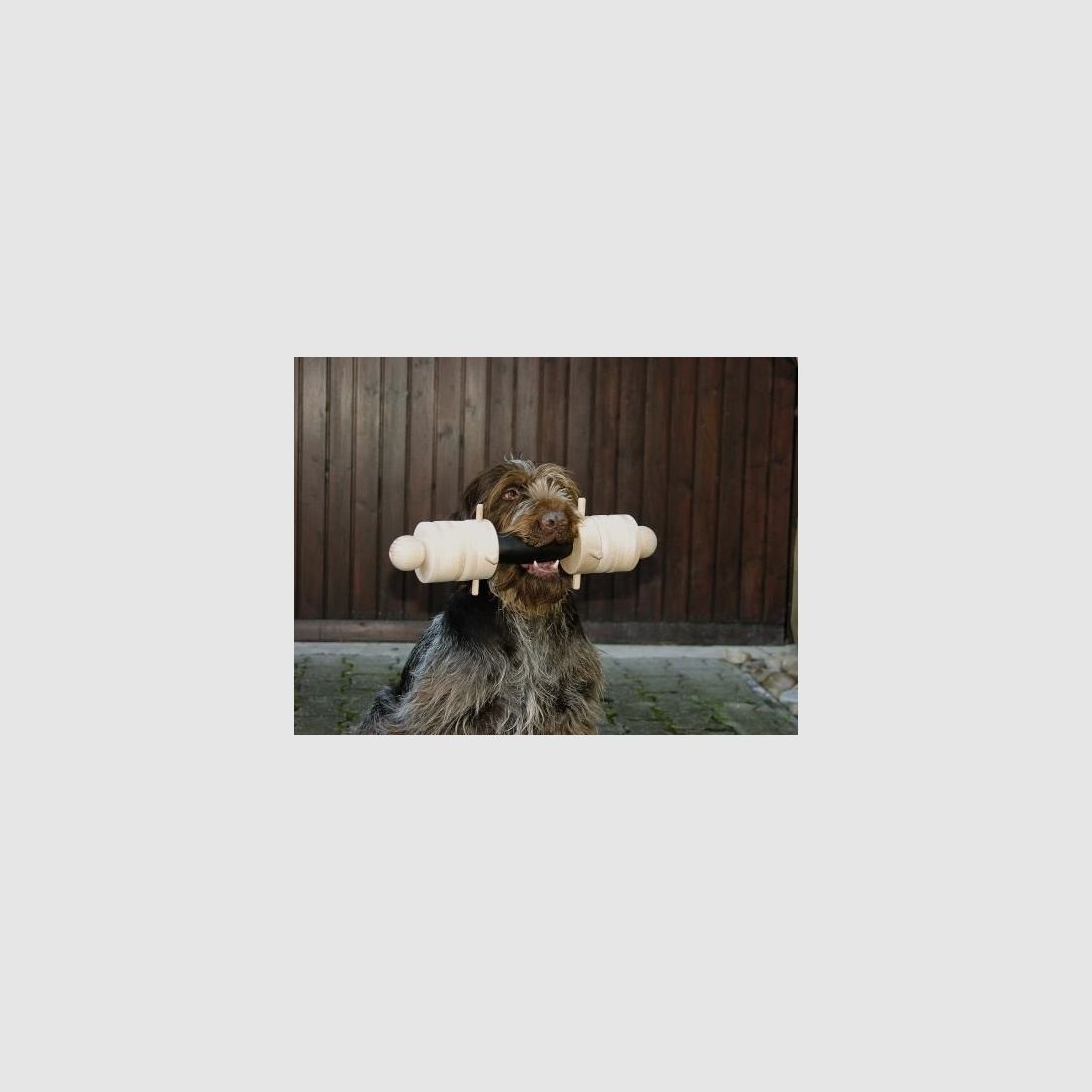 Apportierbock mit Handgriff