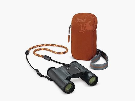 Swarovski CL Pocket B Mountain