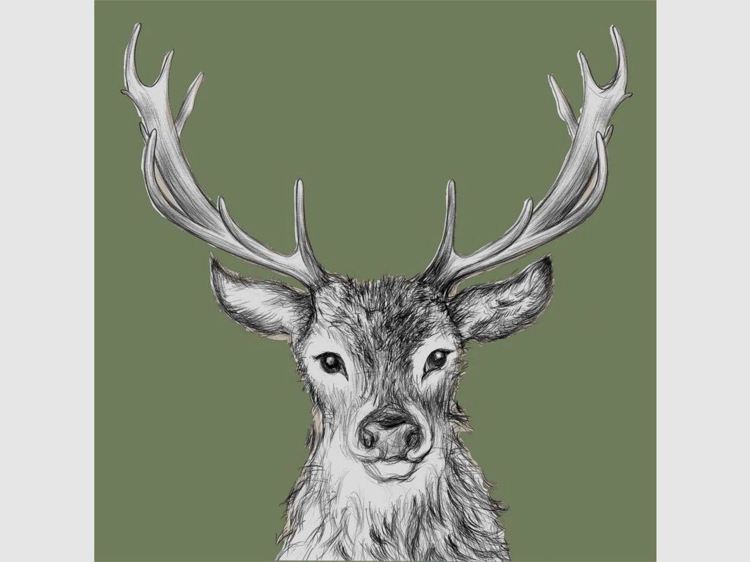 Napkins Paul green, image 2 of 2