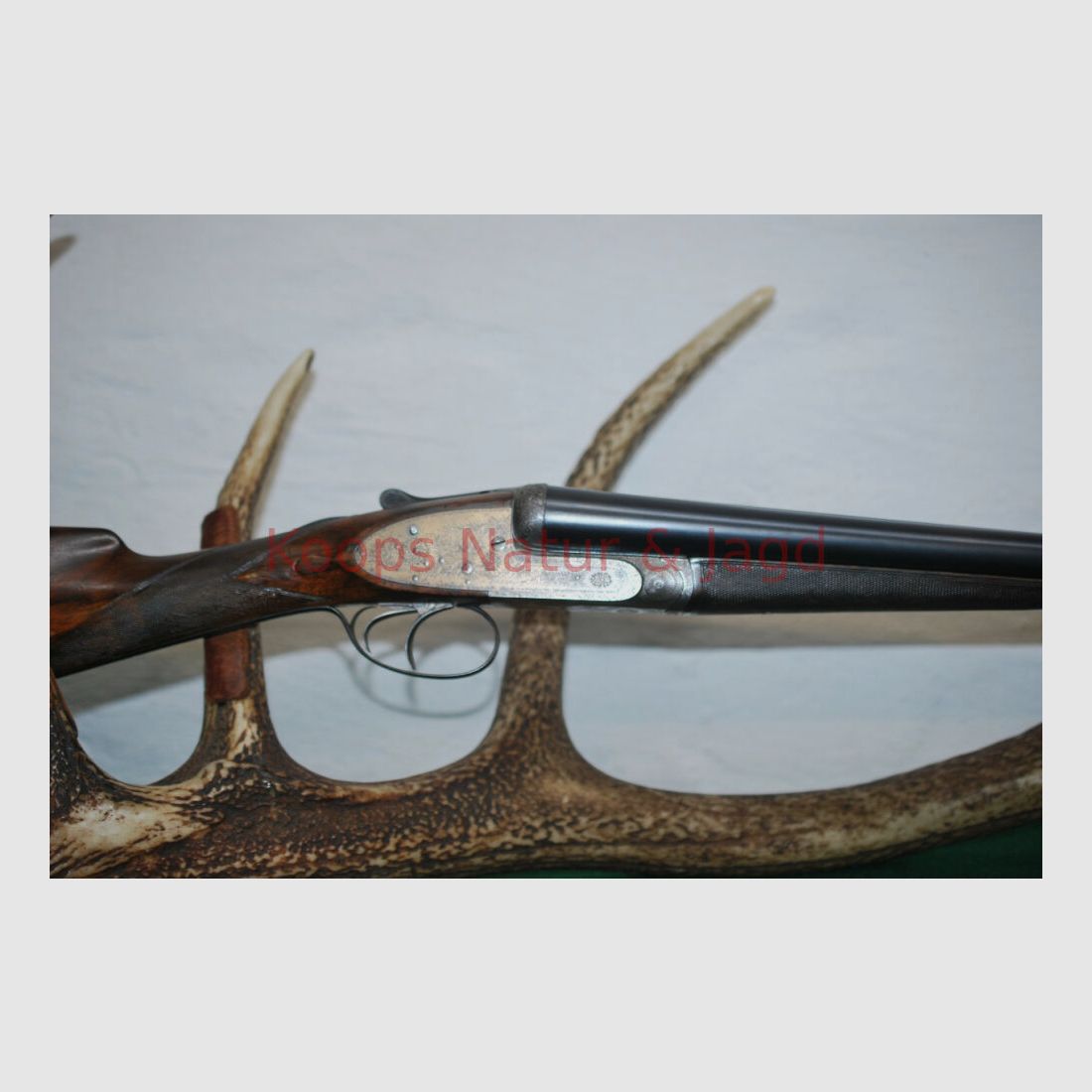 Pirlet