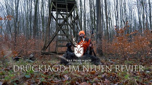 Spannende Drückjagd auf Sauen! Rot- und Schwarzwild im Revier um Willebadessen | K&K PREMIUMJAGD