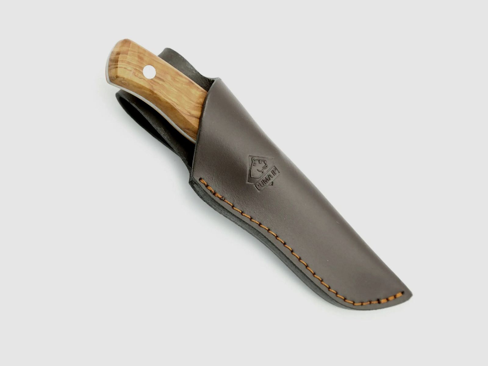 PUMA IP valencia olive