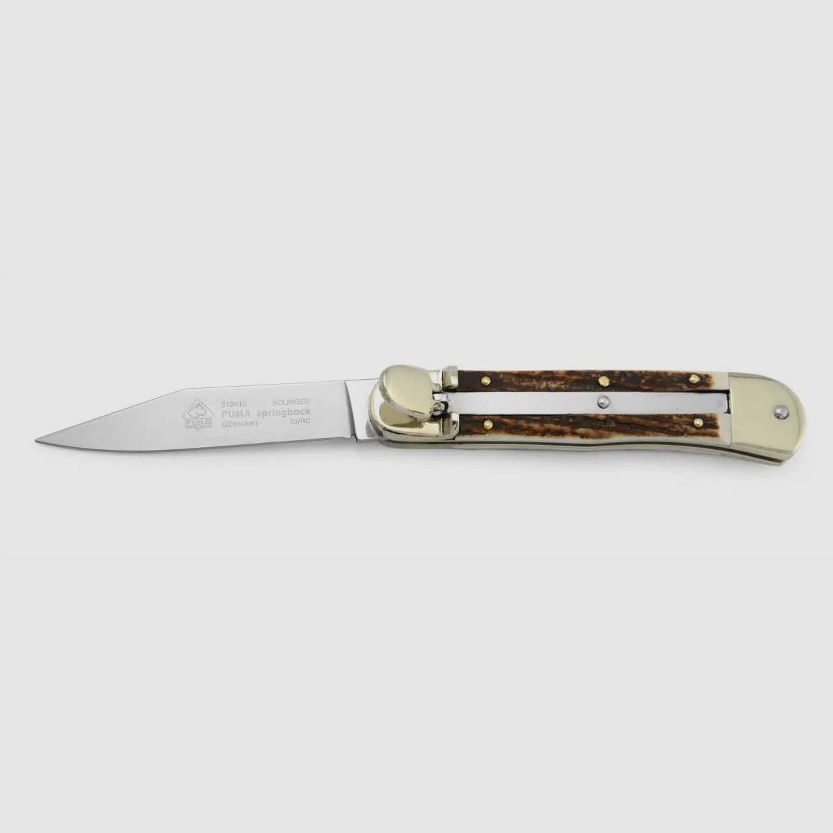 Puma Springbok