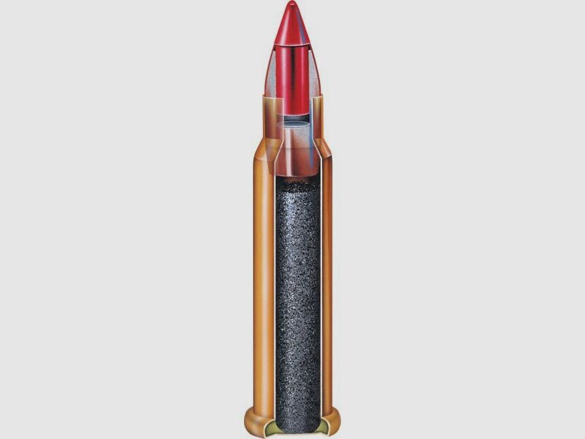 Hornady V-Max 17grs