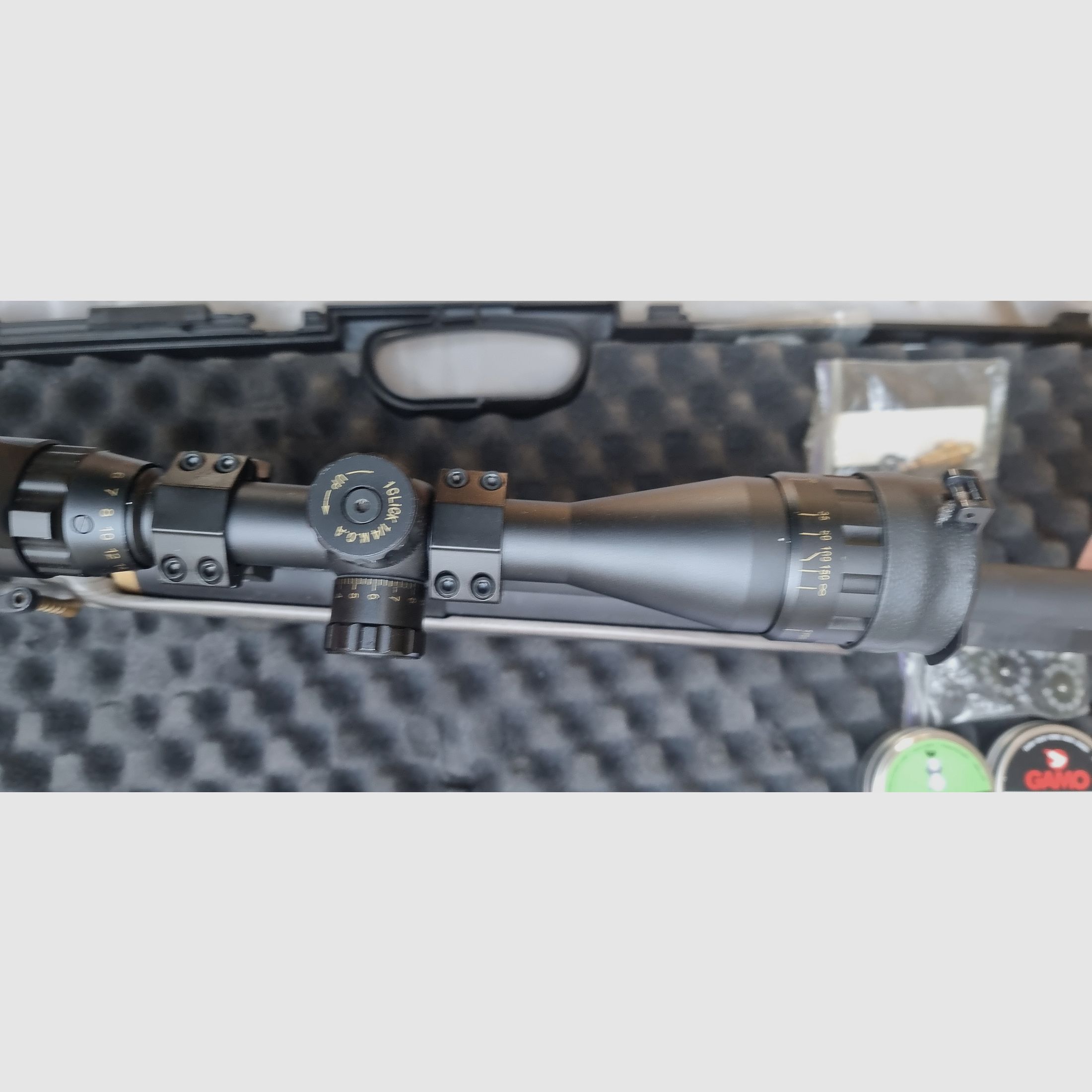 Reserviert Zbroia Kozak Pressluftgewehr Bullpulp mit  4 Magazinen, Pumpe usw