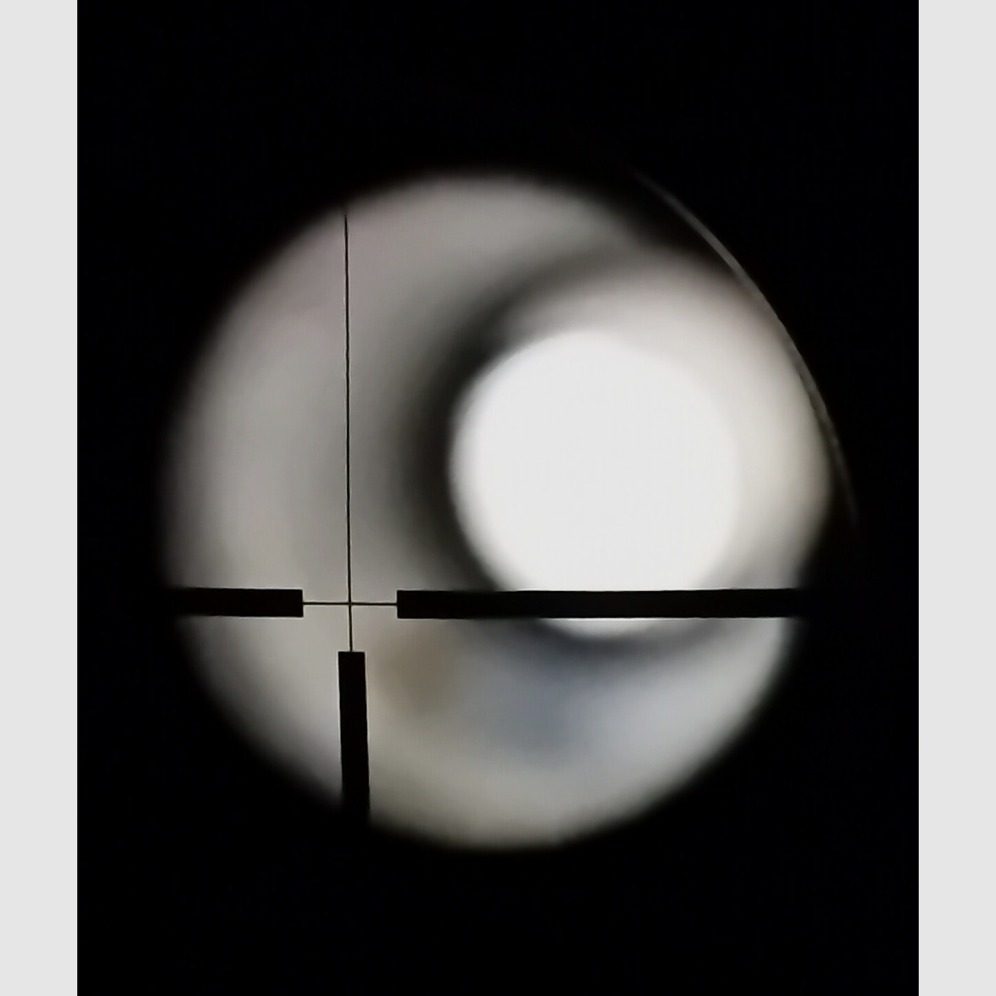 Diana 350 Magnum Premium
