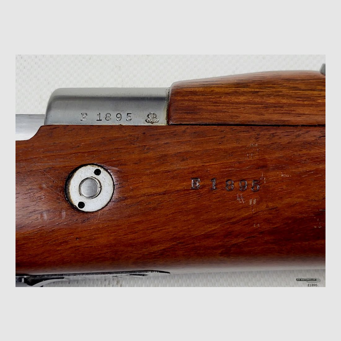 <DWM Argentino 1909, zdjęcie 5 z 10