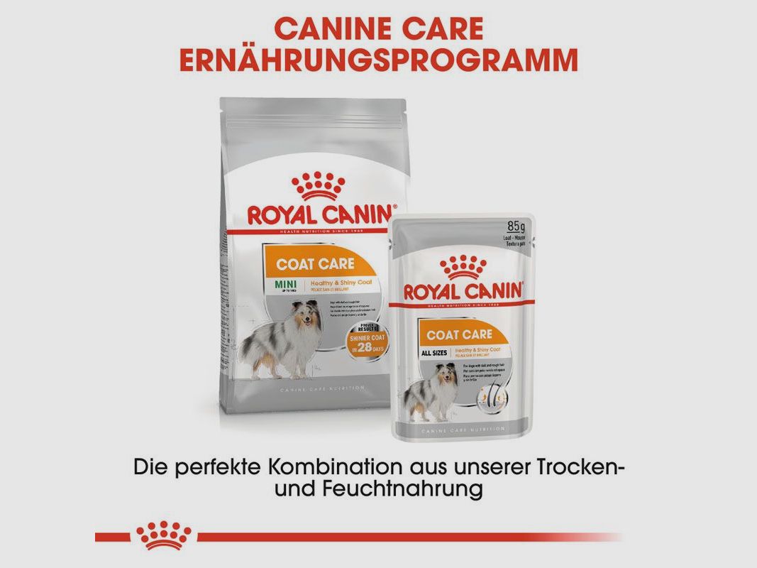 ROYAL CANIN Kleine Hunde Trockenfutter Coat Care für glänzendes Fell 3 Kg