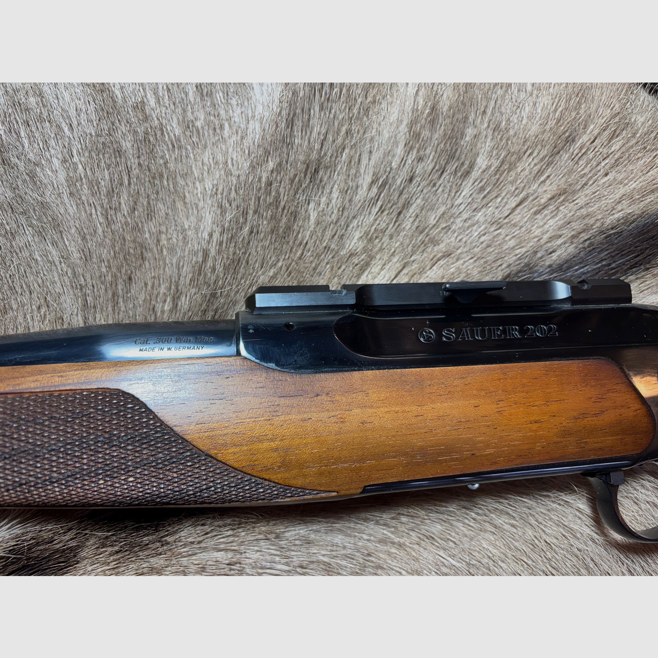 Sauer 202 .300 WinMag Elegance