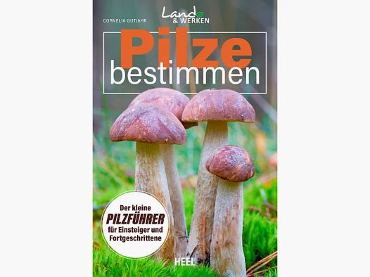 Identifying mushrooms