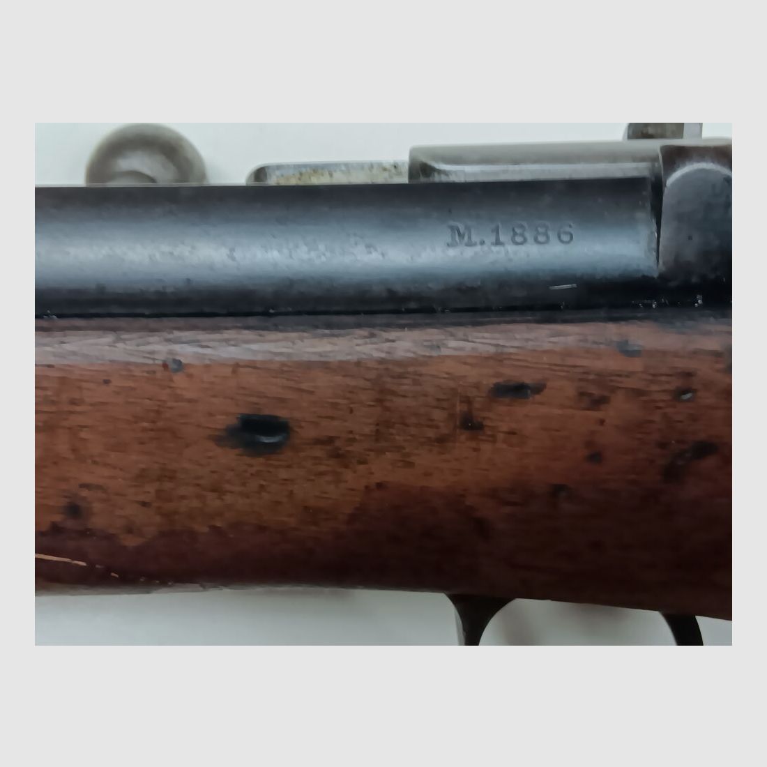 OE.W.F.G. Steyr M. 1886 - Kropatschek