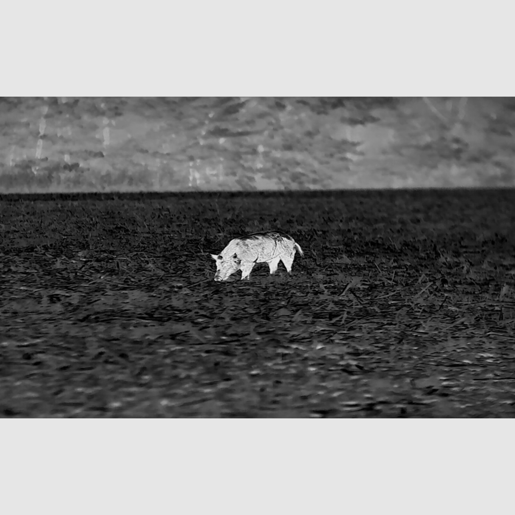 Infiray 447000258 Xeye CH50 V2 warmtebeeldopzetapparaat