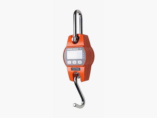 Electronic game scale, up to 300 kg