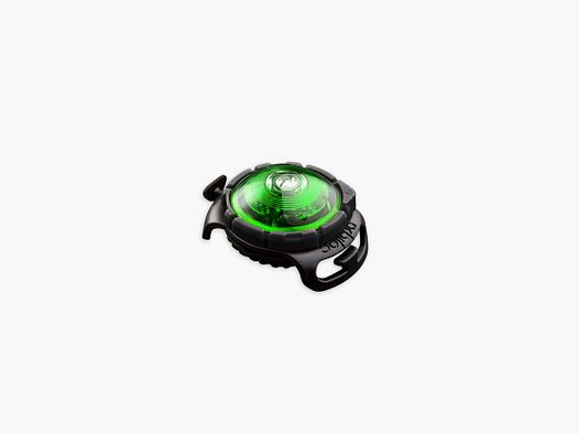 Orbiloc LED-Sicherheitslicht Dog Dual Grün