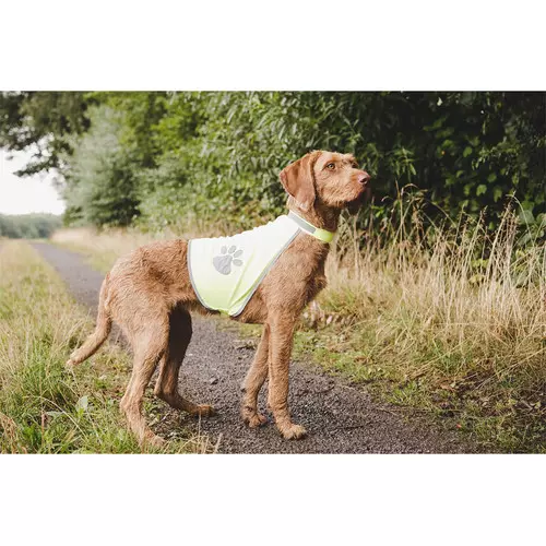 Farm-Land Veiligheidsvest M, afbeelding 4 van 6