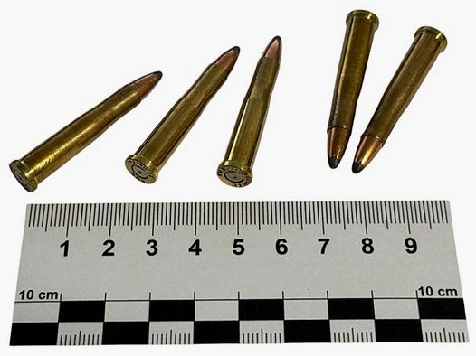 5 Stück Dekomunition Kaliber .22 Hornet – Messinghülse mit Teilmantelgeschoss