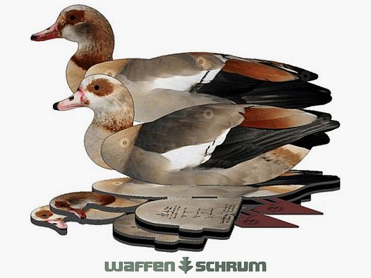 National Rifle Association FUD Lockvogel Nilgans 6er Pack