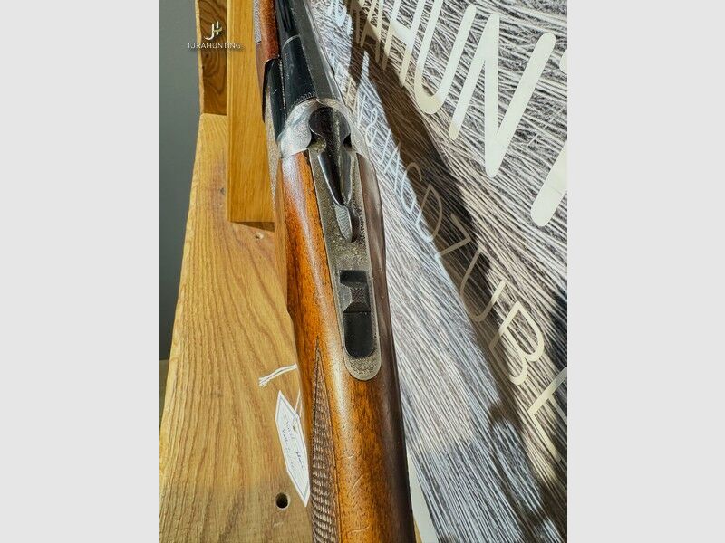 Eduart Kettner Condor