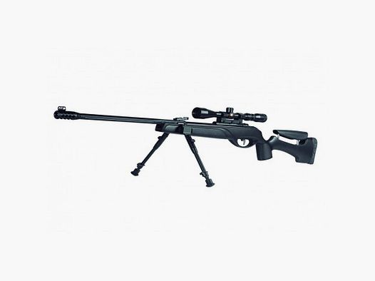 Gamo HPA Storm